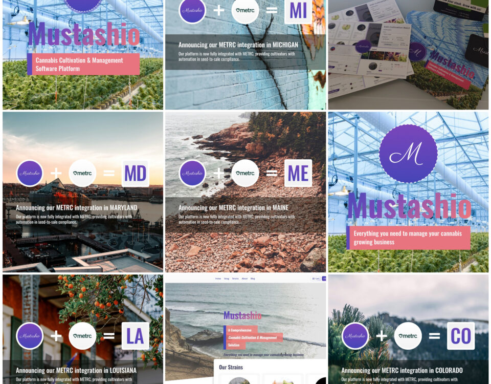 Social Media Image - Instagram Grid