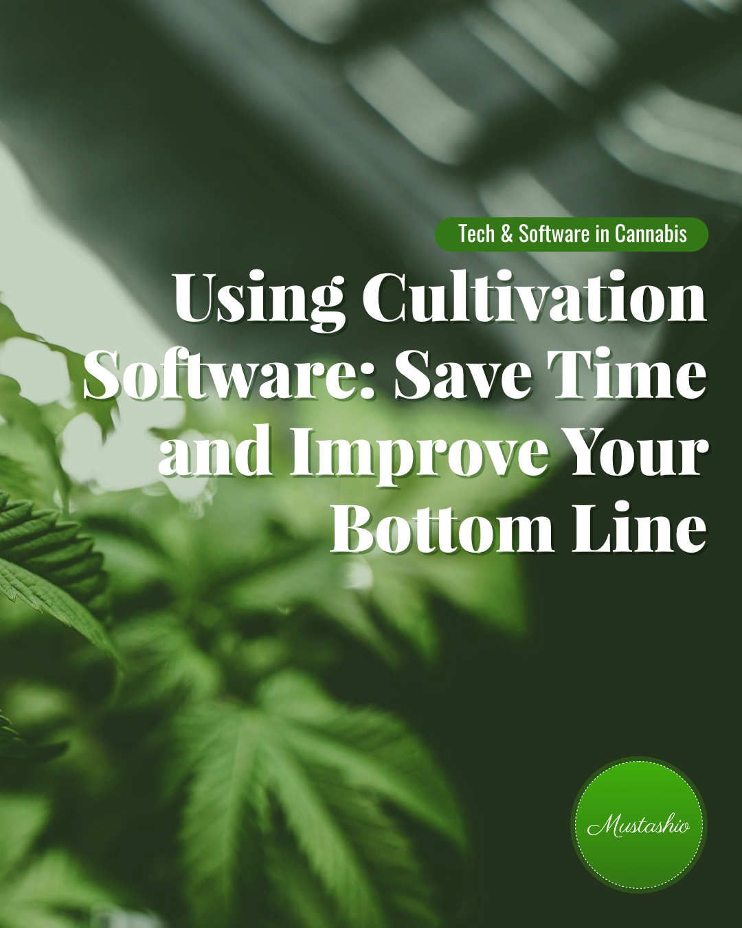 Using Cultivation Software: Save Time and Improve Your Bottom Line