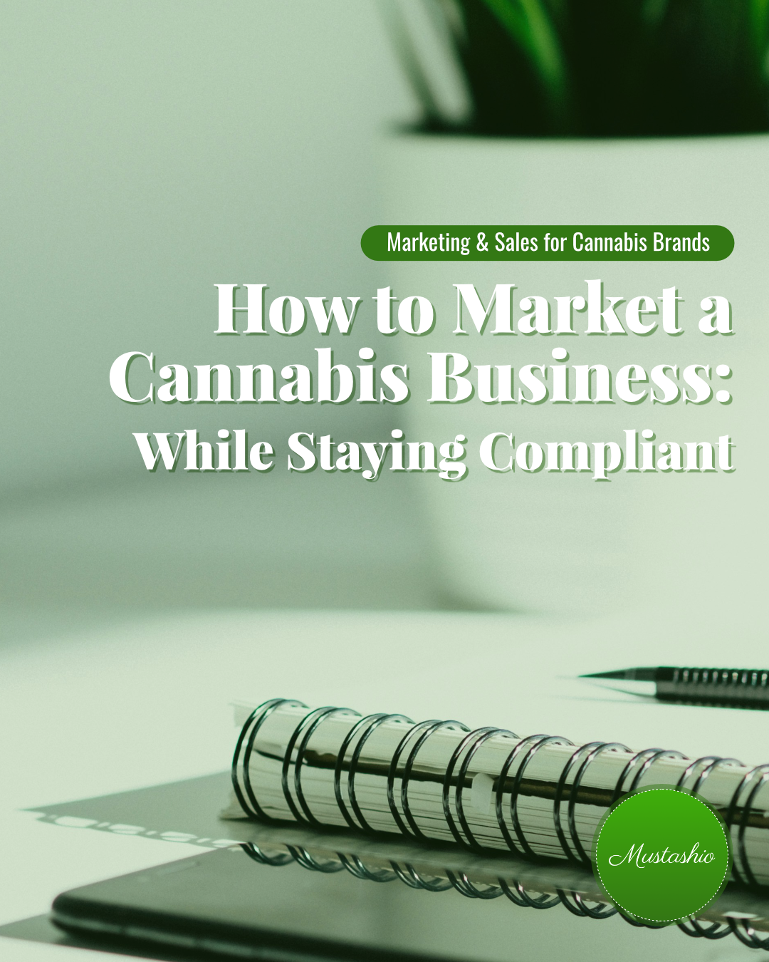 How to Market a Cannabis Business: While Staying Compliant