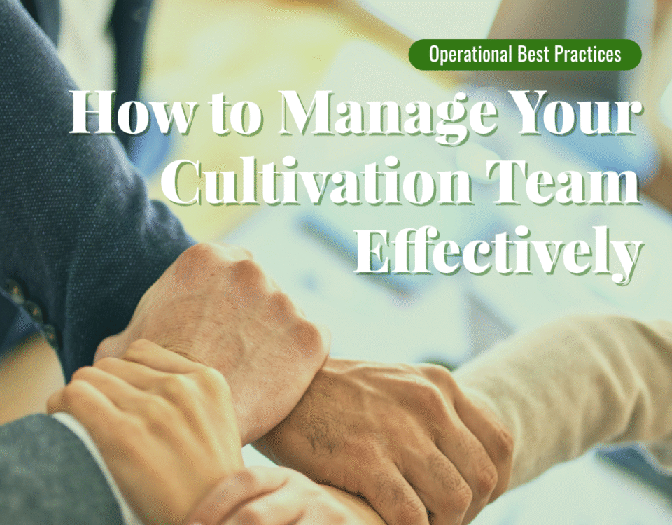 Team with hands tied together in a knot. Manage your team effectively.