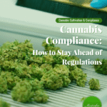 Cannabis Compliance: How to Stay Ahead of Regulations
