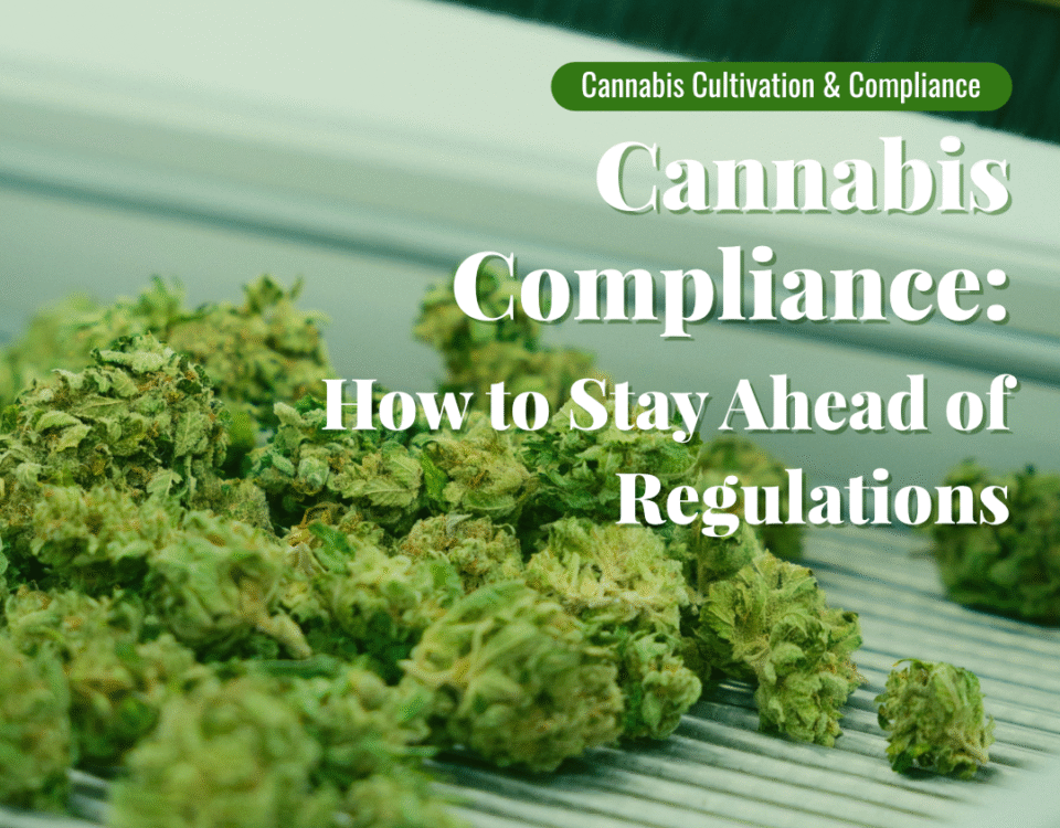 Cannabis Compliance: How to Stay Ahead of Regulations